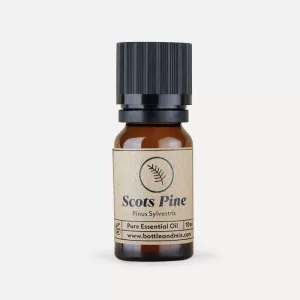 Scots Pine Essential Oil, dropper bottle