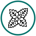 Peppermint Essential Oil icon