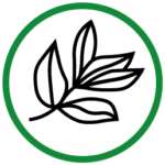 Tea Tree Essential Oil Icon
