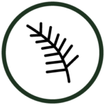 Pine Essential Oil Icon