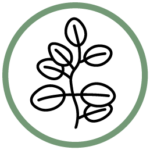 Eucalyptus Essential Oil icon