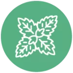 Green Icon with abstract mint leaves, representing herbs