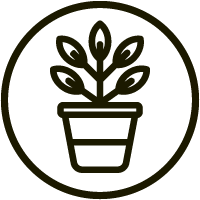 icon house plant